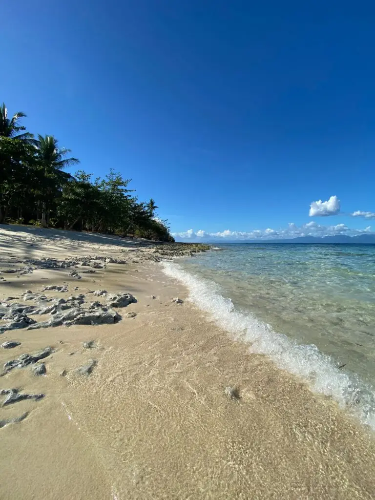 Tropical Philippine beach with turquoise water and palm trees