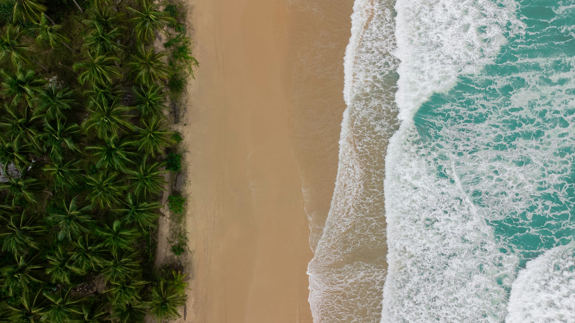 The Complete Philippines Travel Planning Checklist Aerial view of Nacpan Beach, Philippines