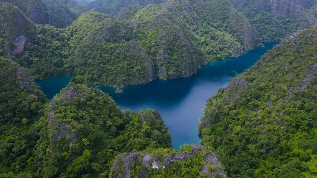 A quiet blue lagoon ringed by steep green limestone cliffs in Coron, Palawan