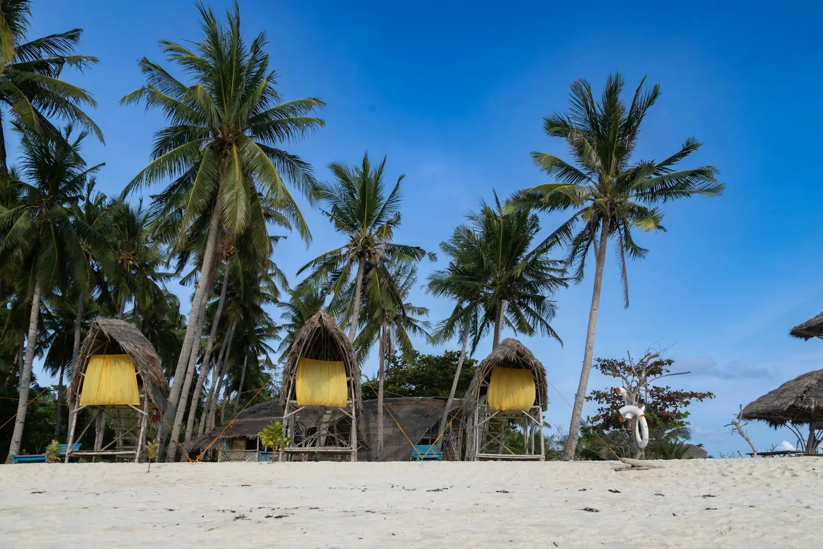 Tropical beachfront with palm trees and thatched huts at an El Nido Palawan mid-range resort